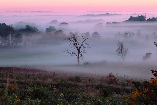 Image "Magical Morning" by Andre' Troyer