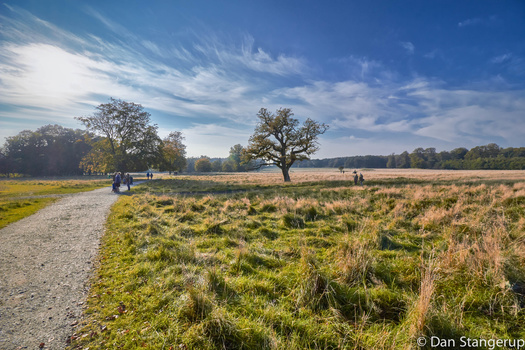 Image "Deer Park Sunday walk" by Dan Stangerup