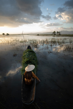 Image "Sunset" by Richard Gatmaitan
