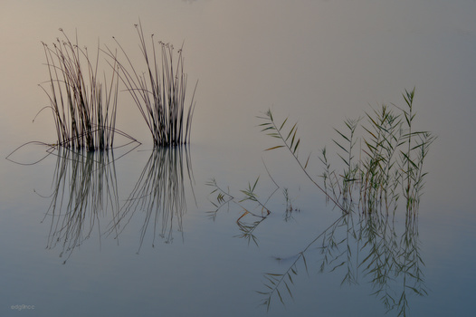 Image "peaceful silent morning" by Dg9ncc /portable