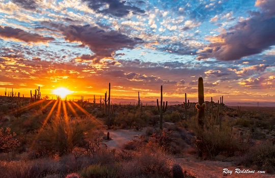 Image "Arizona Sunset Landscape With Sun Beams And Cactus" by Ray Redstone