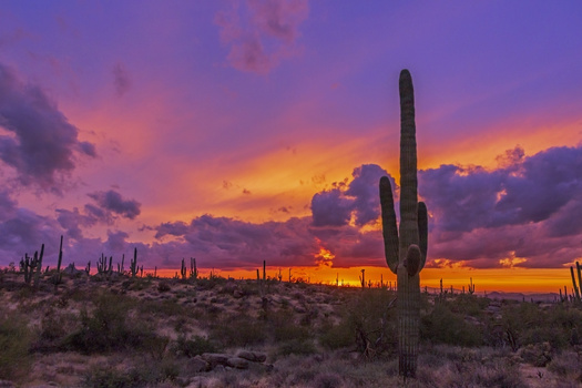 Image "Epic Desert Sunset In Arizona" by Ray Redstone