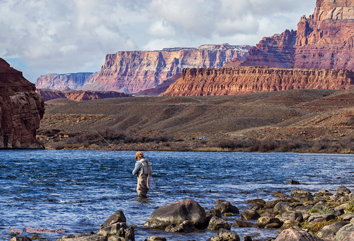Image "Lone Fly Fisherman On Colorado River At Lees Ferry, AZ" by Ray Redstone