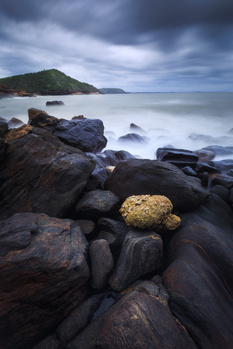 Poodle in Stone by Sarvesh Prabhugaonkar