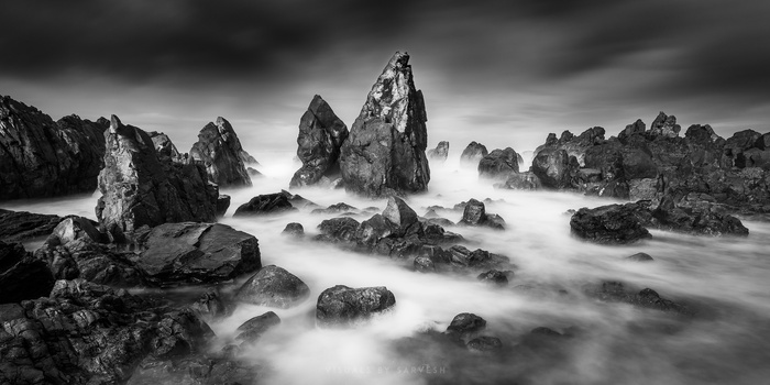 Against the tide by Sarvesh Prabhugaonkar