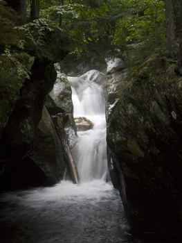 Image "Moss Glen Falls" by Bill White
