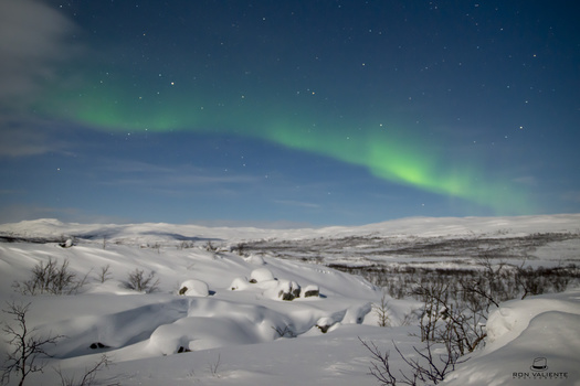 Image "Aurora Borealis" by Ron Valiente