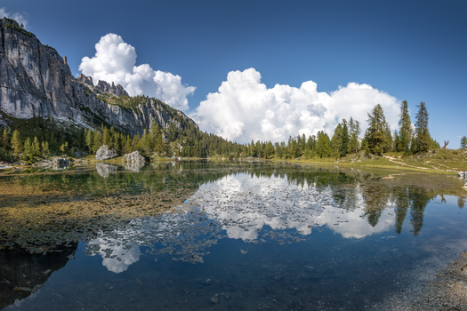 Image "Reflections at the Croda da Lago lake" by Giulio Mignani