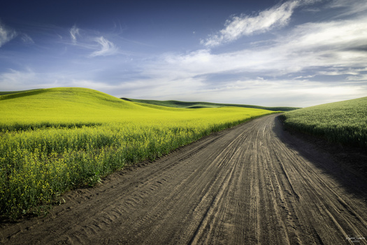 Image "Long Back Country Road" by Raymond Sassoon