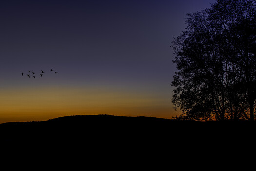 Image "Fleeting Sunset Moment" by Raymond Sassoon