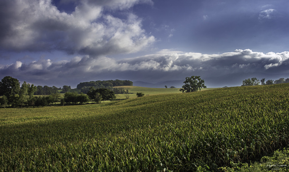 Image "Heavy Rain Clouds & Summer Harvest" by Raymond Sassoon