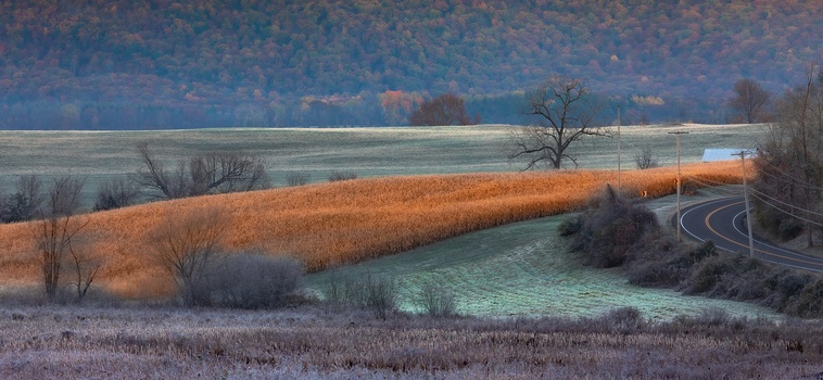 Image "Touch of Winter" by Raymond Sassoon