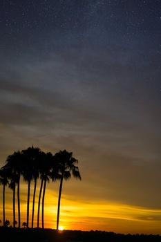 Image "Untitled 1" by Sebastian North