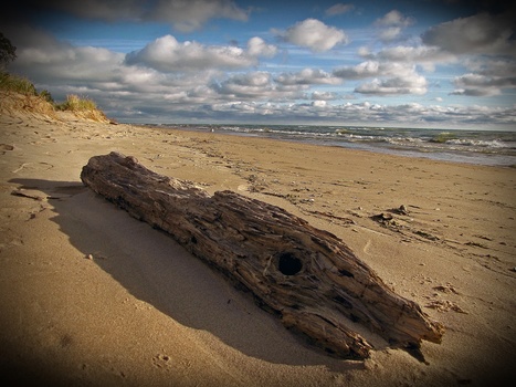 Image "drifted log" by John Toennessen