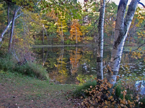 Image "in the park" by John Toennessen