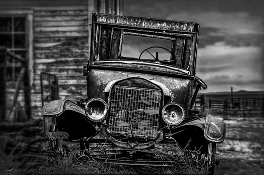 Image "The Old Timer" by Heather Langlois
