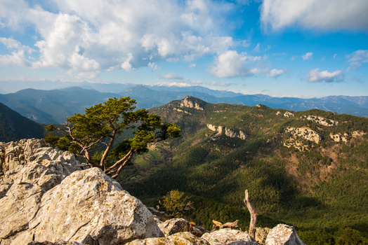 Image "Inside the Pyrenees" by Sam Groot
