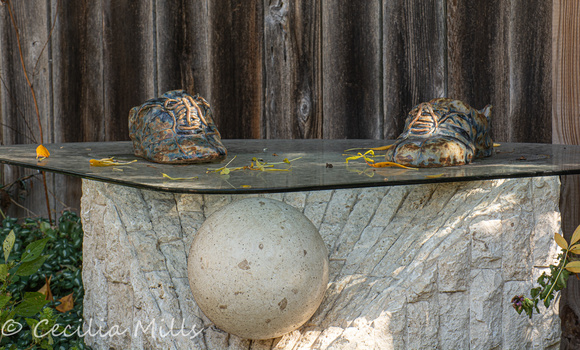 Image "Walk The Path" by Cecilia Mills