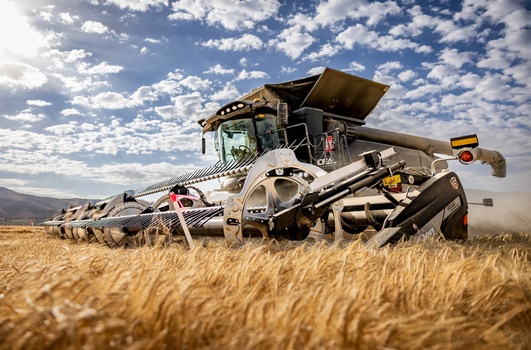 Image "Idaho Barley Harvest" by Tim Strathman