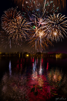 View 4th of July Fireworks - Boulder City, Nevada by Fraser Almeida
