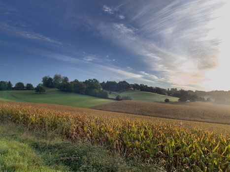 Image "Southern France" by Christophe Ferreira