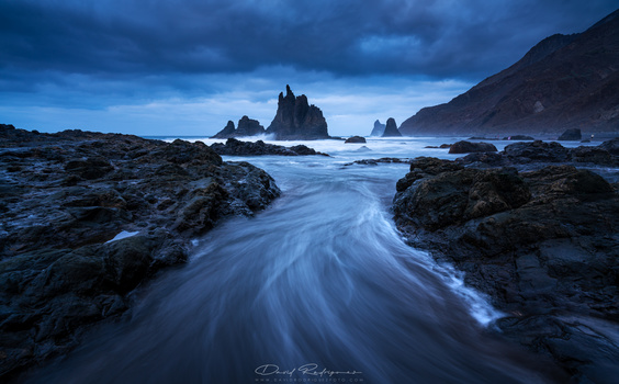 Image "Ocean Call" by DAVID RODRIGUEZ