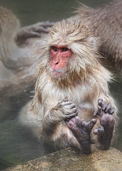 Image "Just Relaxing" by Paul Bild