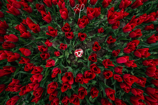 Image "Let me be different" by Angel Henrriquez