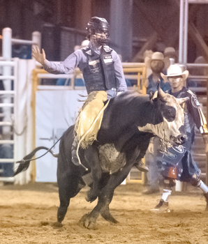 Image "Bull Rider" by Clarence Alford