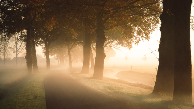 Image "Misty Road" by Nick Boerkamp