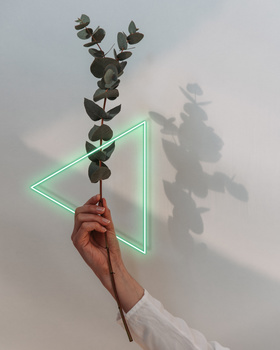 Image "NEONFLOWER I" by Renè Müller