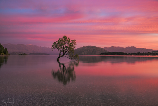 Image "Wanaka Sunrise" by Cory Marshall