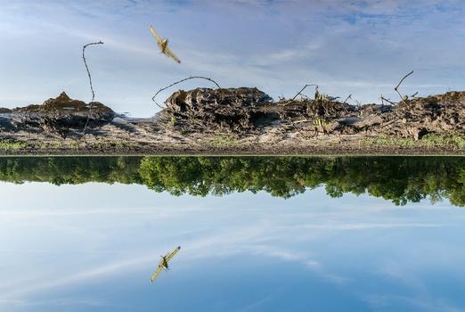 Image "Untitled 4" by Rob Hearn