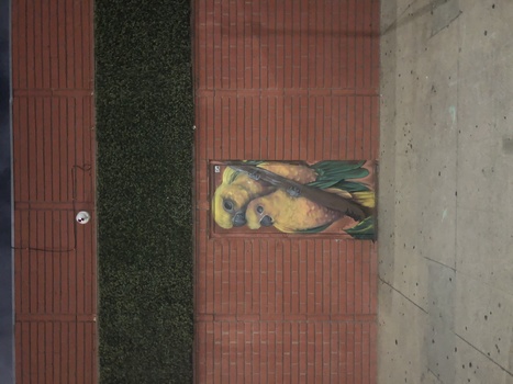 Image "Bird on the wall" by Gus Paez