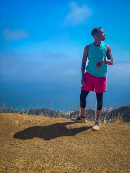 Image "Views - Los Liones Trail top (2)" by Ronald Johnson