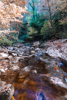 Image "Agur waterfalls, Sochi, Russia" by Ekaterina Votchenko