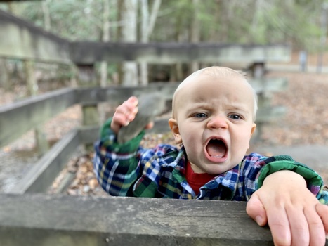Image "War Cry" by Rachael Seeley
