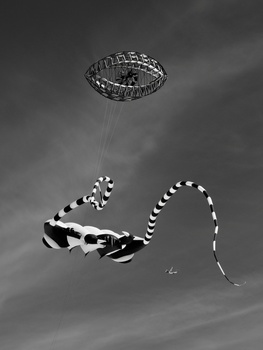 Image "Kite Competition" by Cees Albers