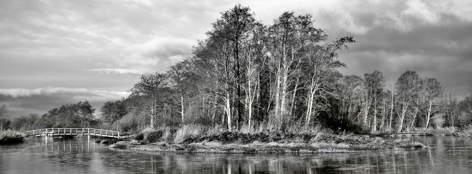 Image "Twiske Nature park" by Cees Albers
