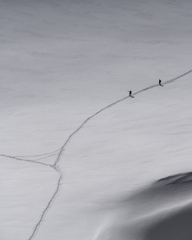Image "White Walkers" by Cameron Hanks