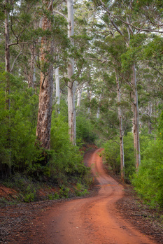 Image "Winding Roads" by Cameron Hanks