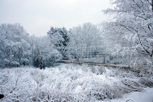 Image "CT Winter" by Joe Adam