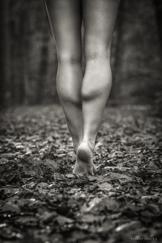 Image "On Tiptoe" by Václav Fialka