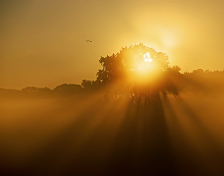 Image "New Day" by Tom Williams