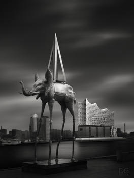 Image "Dali" by David Garthwaite