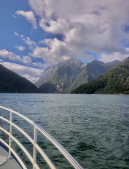 Image "Milford Sound, New Zealand" by Jessie Fox