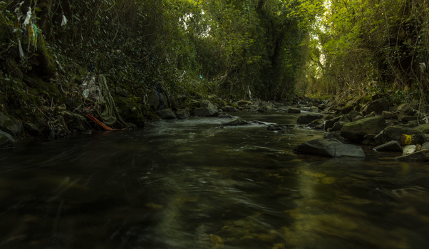Image "Gone with the water" by Luis Lopes