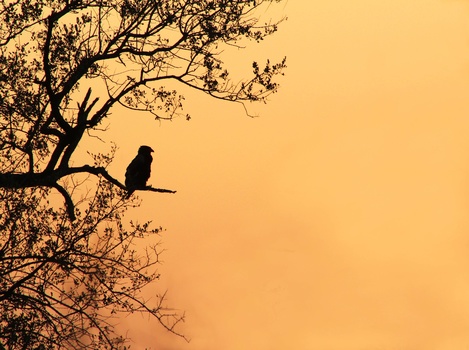 Image "Day's end..." by Mike Osmond
