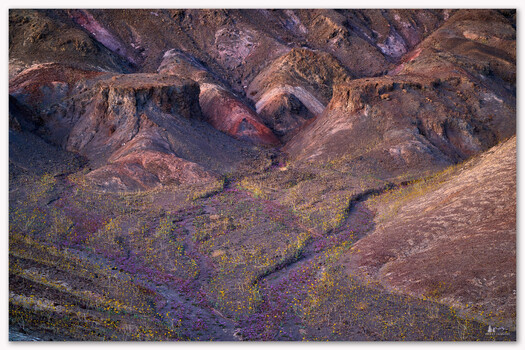 Image "Threads of Spring" by Kenneth Henke