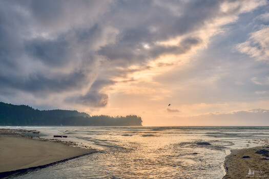 Image "The Quiet Between" by Kenneth Henke